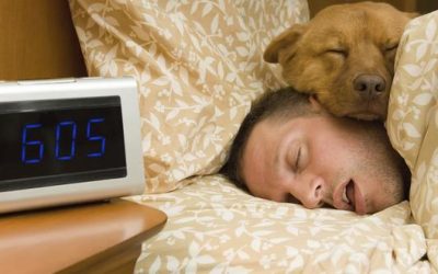 El Sueño el mejor aliado para reponer energías, consejos para un descanso completo.