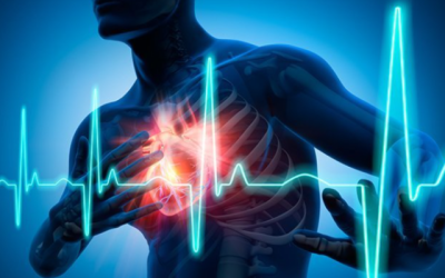Investigadores crean celulares que ayuden a prevenir problemas cardiacos y de visión.