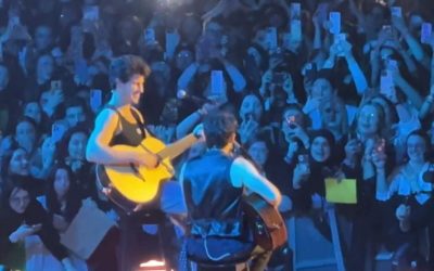 Shawn Mendes vuelve a los escenarios durante el concierto de Niall Horan