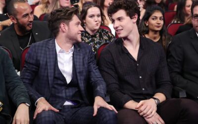 Niall Horan regresa a los escenarios en compañía de un gran amigo